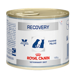 Диетические консервы для кошек и собак Royal Canin Recovery в период анорексии и выздоровления 195 г
