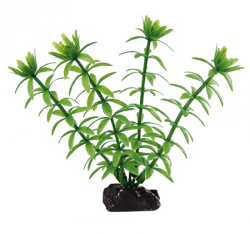 Пластиковое растение для аквариума Ferplast BLU 9055 Egeria