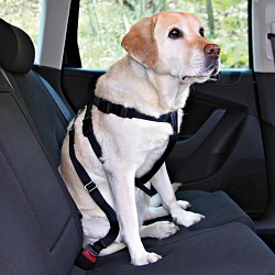 Автомобильный ремень безопасности для собак Trixie со шлейкой, 70-90 см