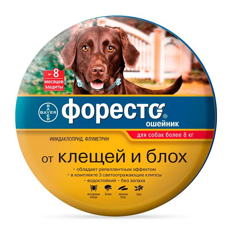 Форесто (Bayer) ошейник от блох и клещей инсектоакарицидный для собак и щенков от 8 кг, 70 см