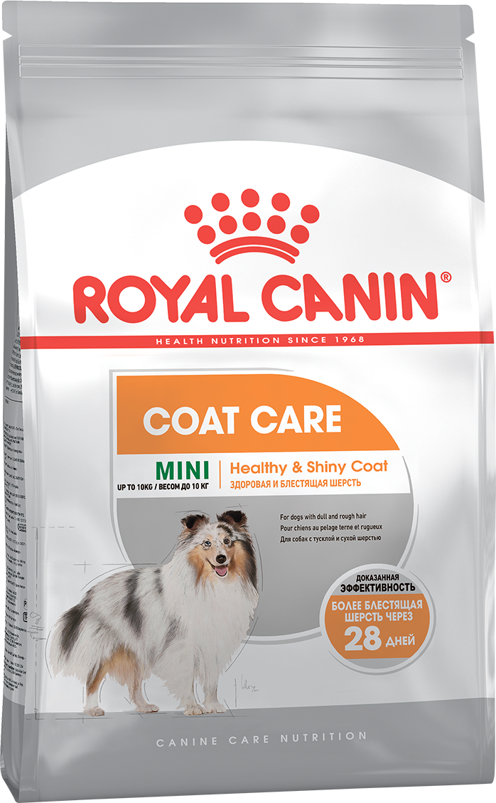 Сухой корм для собак мелких пород Royal Canin Mini Coat Care при тусклой и сухой шерсти
