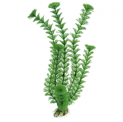 Пластиковое растение для аквариума Ferplast BLU 9061 Cabomba