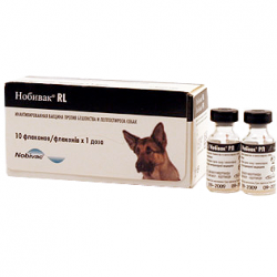 Вакцина для собак Нобивак RL (Nobivac RL), 1 доза = 1 мл