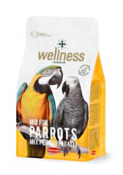 Корм для больших попугаев супер-премиум класса Padovan Wellness Mix For Parrots (0,75 кг)