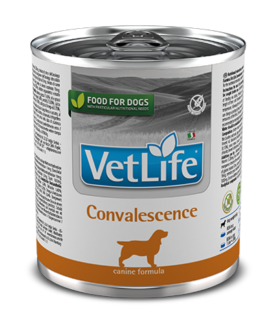 Диетические консервы для собак Farmina Vet Life Convalescence в период выздоровления, паштет 6 шт по 300 г