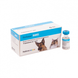 Инактивированная вакцина против бешенства для собак, кошек, щенков, котят Нобивак Rabies (Nobivac Rabies), 1 доза
