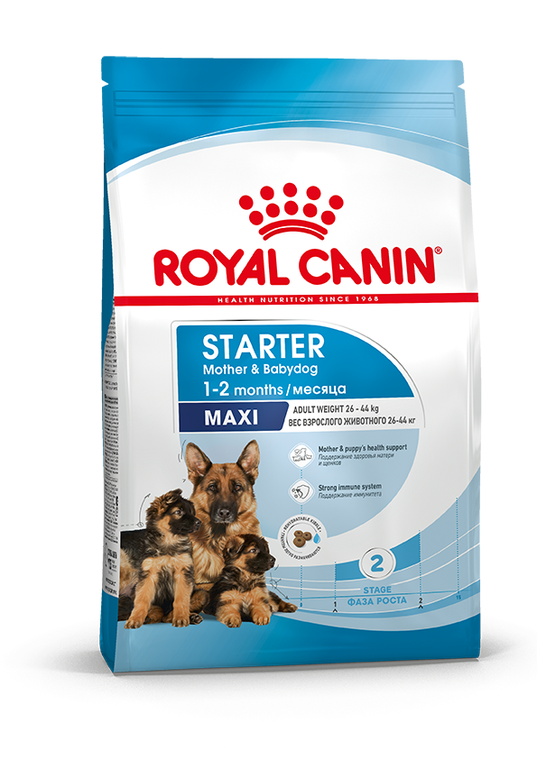 Сухой корм Royal Canin Maxi Starter для щенков крупных пород, беременных и кормящих сук