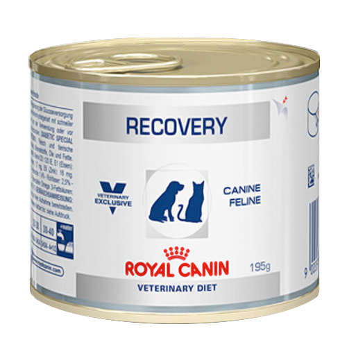 Диетические консервы для кошек и собак Royal Canin Recovery в период анорексии и выздоровления 195 г