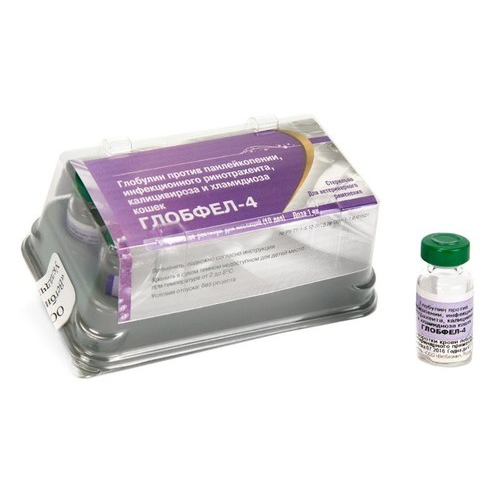 Иммуноглобулин Глобфел-4 для кошек, 1 флакон × 1 мл