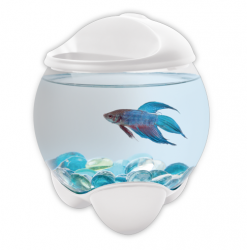 Аквариум-шар для петушков с освещением Tetra Betta Bubble белый (1,8 л)