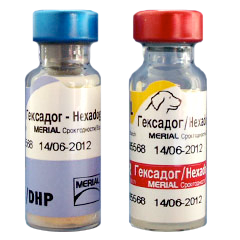 Вакцина для собак Гексадог, 1 доза = 2 флакона (сухая вакцина+растворитель)