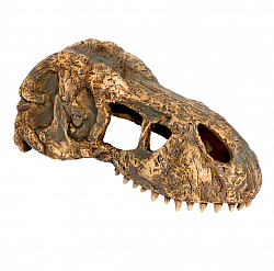 Убежище-декор для террариума Exo Terra T-Rex Skull Череп тираннозавра