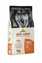 Сухой корм для взрослых собак крупных пород Almo Nature Large&Lamb Holistic c ягненком, 12 кг