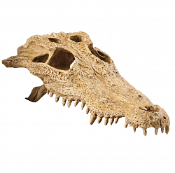 Убежище-декор для террариума Exo Terra Crocodile Skull Череп крокодила, 23х12х7,5 см